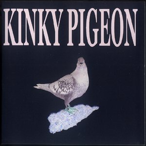 The Kinky Pigeon 的头像