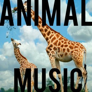 Image for 'Animal-Music'