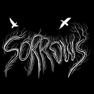 Sorrows 的头像