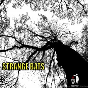 Image for 'STRANGE BATS'