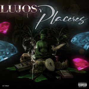 Lujos Y Placeres