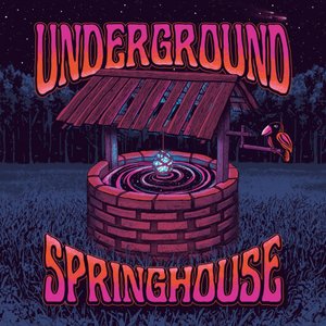 Underground Springhouse