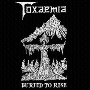 “Buried to Rise”的封面