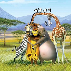 Madagascar Theme Players 的头像