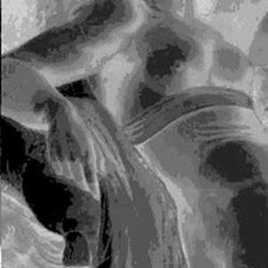Avatar for index of /trance.biz