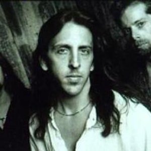 Jim Suhler and Monkey Beat 的头像