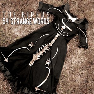54 Strange Words
