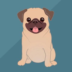 Avatar for luv pug