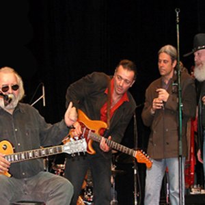Pera Joe Blues Band 的头像