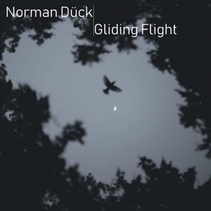 Gliding Flight