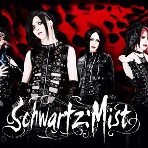 Avatar for Schwartz:Mist