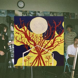 新・島盤