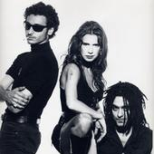 Lions in Love photo provided by Last.fm