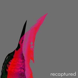 Recaptured - Single