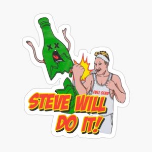 STEVEWILLDOIT INTRO