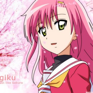 Katsura Hinagiku 的头像