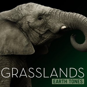 Earth Tones: Grasslands