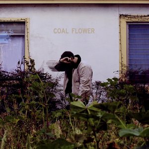 coal flower