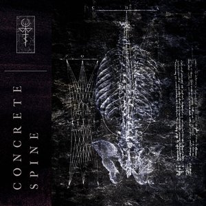Concrete Spine