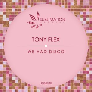 We Had Disco