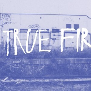 True Fir 的头像