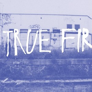 Avatar for True Fir