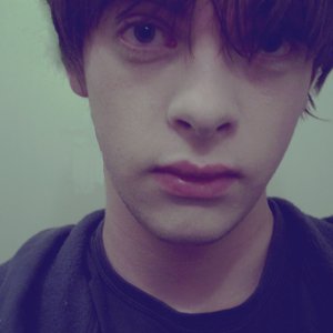 Avatar for Bruno Cercal