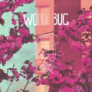 Wood Bug
