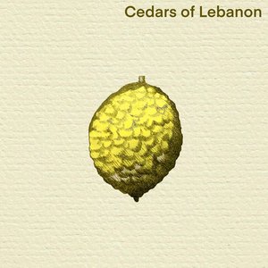 Citron