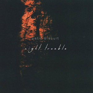 Petit Biscuit - Night Trouble - Single - Zortam Music