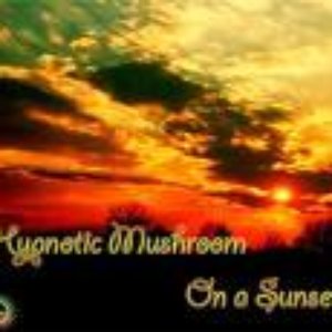 Hypnotic Mushroom 的头像