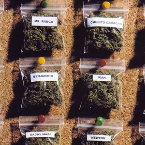 Avatar de Ganja Party