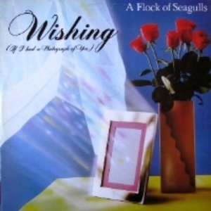 Wishing (If I Had A Photograph Of You)