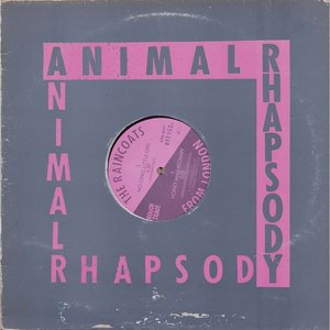 The Raincoats - Animal Rhapsody - Zortam Music
