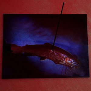 Valtys - Single