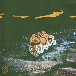 P.A.W.S