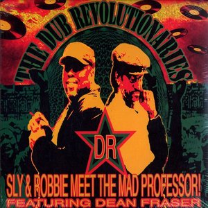 Image for 'The Dub Revolutionaries'