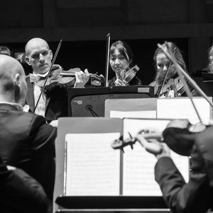 Concertgebouw Chamber Orchestra 的头像