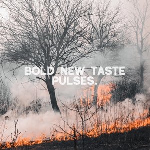 Bold New Taste