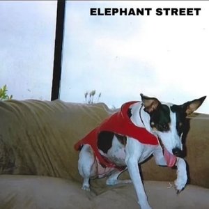 Elephant Street