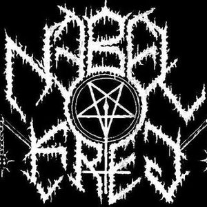 Nebelkrieg 的头像