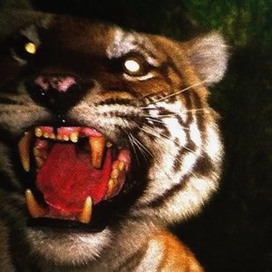 Earn Yuh Stripes - Single