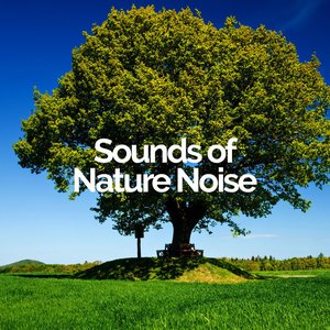 Image for 'Sounds of Nature Noise'