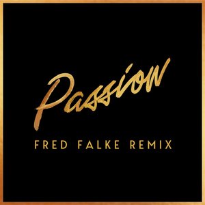 Passion (feat. Nile Rodgers) [Fred Falke Remix] - Single