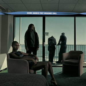 Post Orgasmic Chill (25th Anniversary Expanded Edition) [Explicit]