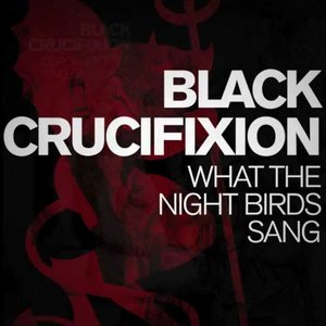 What The Night Birds Sang