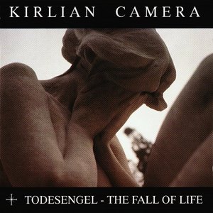 Todesengel - The Fall of Life