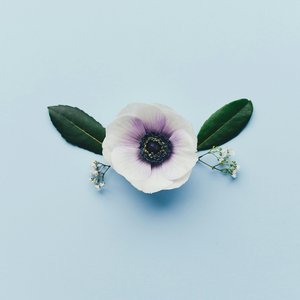 Stay the Same - EP