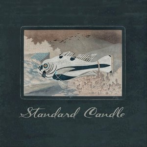 Standard Candle