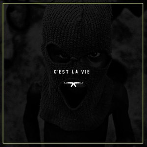 C'est la vie (feat. MellemFingaMuzik) - Single